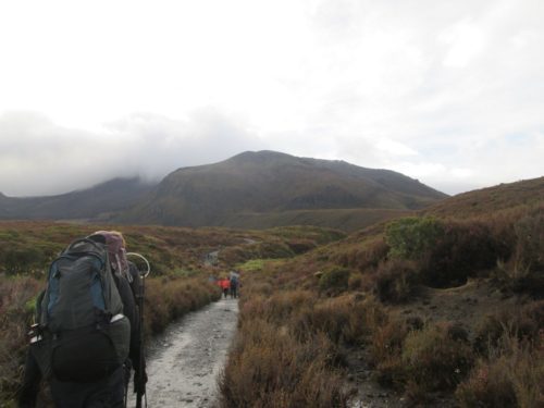 tongariro northern circuit