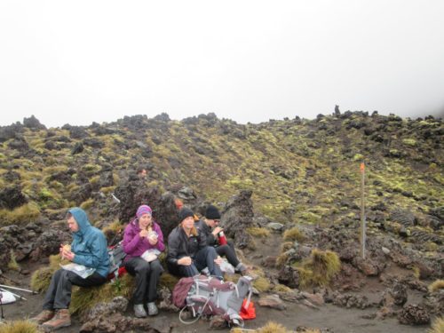 tongariro northern circuit