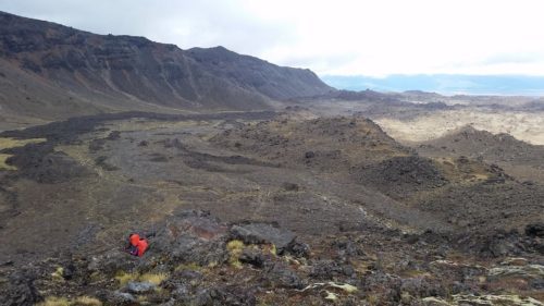 tongariro northern circuit