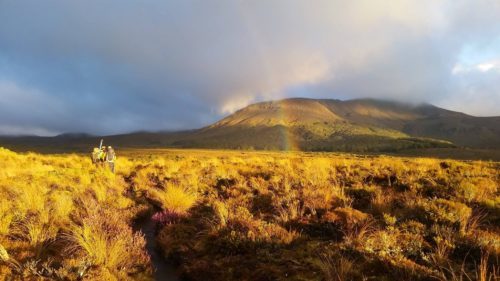 tongariro northern circuit