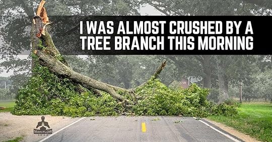 I was almost crushed by a tree branch this morning (Off the Mat)