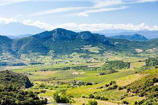 vineyards in Languedoc-Roussillon, France
