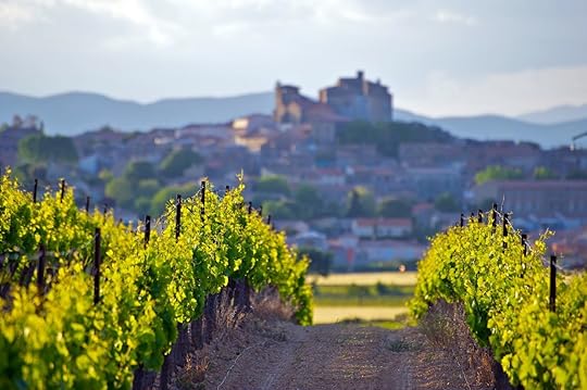 Chateau of Puissalicon, in Languedoc