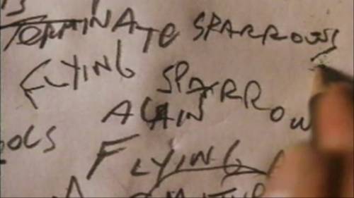  photo Flying20Sparrows_zpsr0nzz9da.jpg