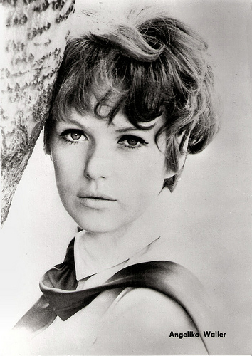 Angelika Waller