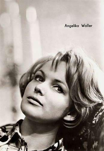 Angelika Waller