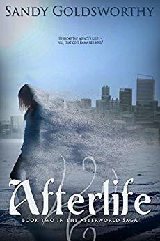 Afterlife - Sandy Goldsworthy