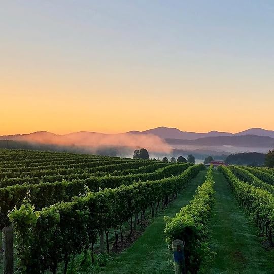 Vineyard Cottages at Afton Mountain Vineyards