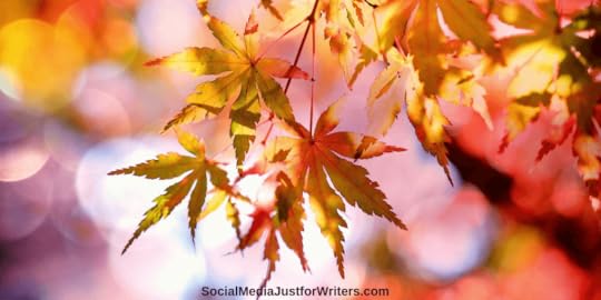 Indie Author Weekly Update