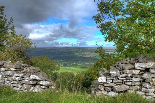 Image may contain: cloud, sky, plant, outdoor and nature