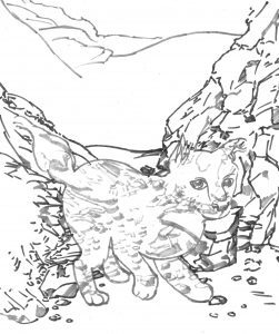guest post by JC Hay