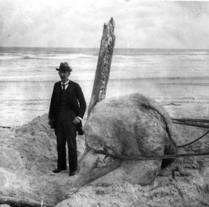 Dr. Webb with the St. Augustine Monster