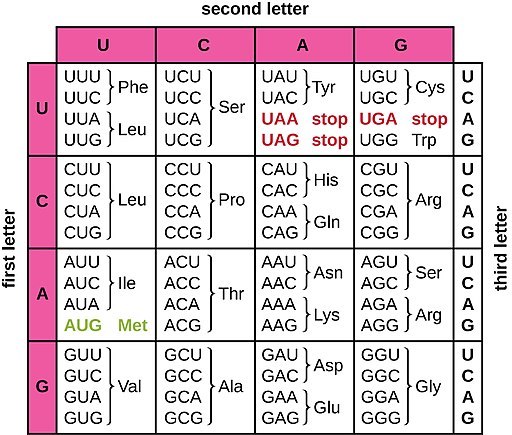 OSC Microbio 11 04 GenCode