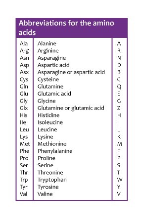 Table of abbreviations for the amino acids (13080643615)