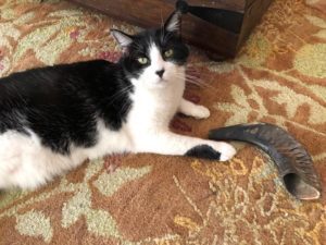 Repent On Yom Kippur Like a Mensch