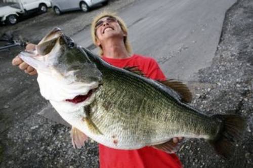  photo BigmouthBass_zps53c97ab5.jpg