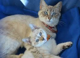 Needing a Mothers Support at all Ages