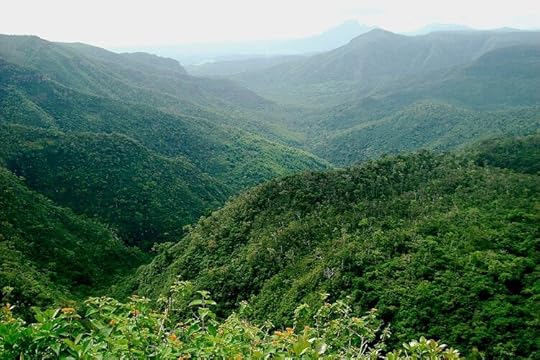 Black River Gorges National Park, Mauritius, Survive Travel