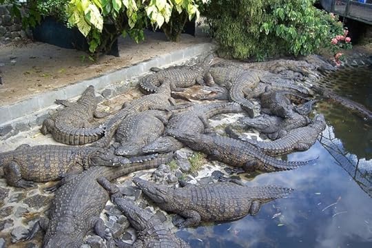 La Vanille Crocodile Park, Things to do in Mauritius, Survive Travel