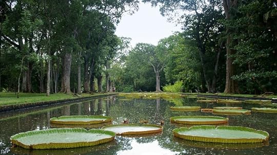 Pamplemousses Botanical Garden, Mauritius, Survive Travel