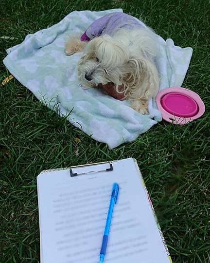 I love that I can take my office outdoors and edit with Petal enjoying the weather.<br />.<br />.<br />.<br />#amediting #authorlife<br />#cherylrainfield #YAwriter #LGBTQwriter #booknerd #bookworm #ireadYA #survivor #feminist<br />#petalrainfield #chinesecrested #hairyhairless #dogstagram #ilovemydog #ilovemychinesecresteddog #dogmom