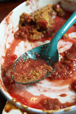 plum rhubarb crisp