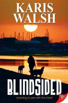 Blindsided_Karis Walsh