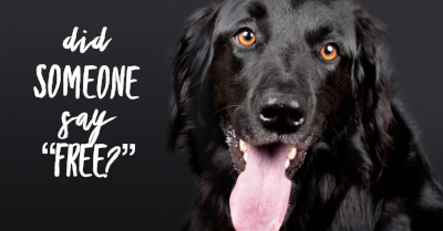 Did someone say free?