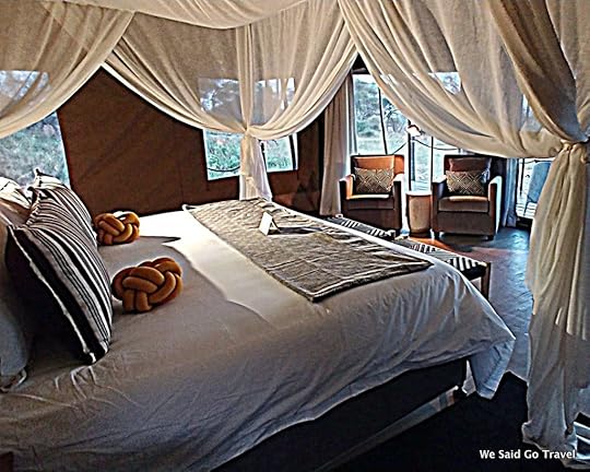 Sanctuary Swala by Lisa Niver