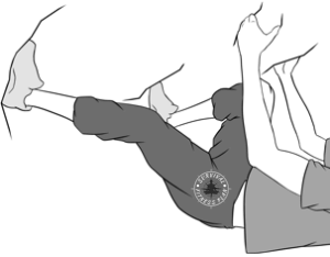 Foot Techniques for Bouldering and Rock Climbing, Outdoor Bouldering for Beginners, Survival Fitness Plan Survival Climbing Training