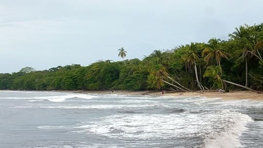 Cahuita National Park, Best Things to do in Costa Rica, Survive Travel
