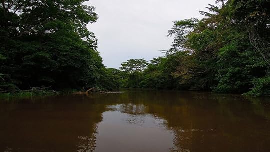 Caño Negro Wildlife Reserve, Best Things to do in Costa Rica, Survive Travel