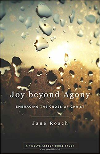 Image result for joy beyond agony jane roach