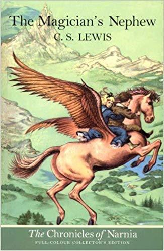 Image result for the magician's nephew