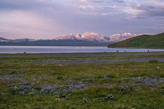 Song Kol Lake, 10 Amazing Things to do in Kyrgyzstan, Survive Travel (9)