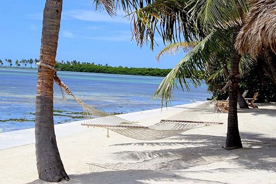 Beach Hammock on the ocean in Islamorada in the Florida Keys