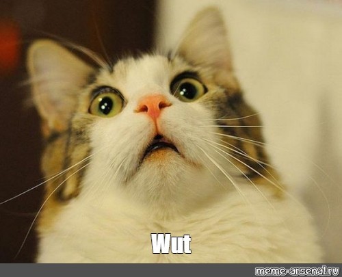 Wut?