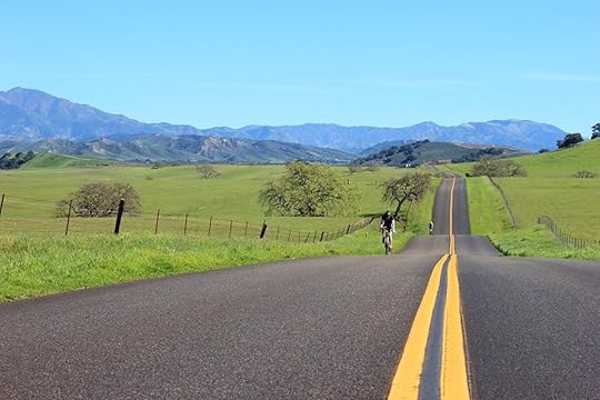Cyclist following an empty road under clear skies flanked by green pasture