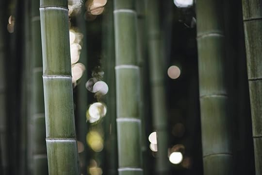 Bamboo in Japan