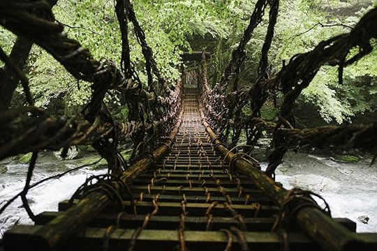 Forest with wooden rope bridge in Japan