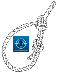 Bowline4, 8 Basic Knots and Their Uses, Survival Fitness Plan