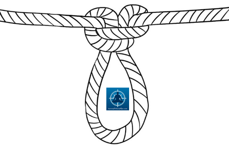 Alpine Butterfly 4, 8 Basic Knots and Their Uses, Survival Fitness Plan