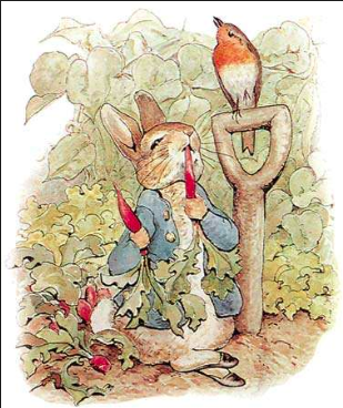  Peter Rabbit himself! 
