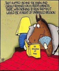 Fifty Shades of Hay
