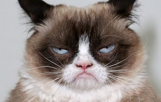 Image result for grumpy