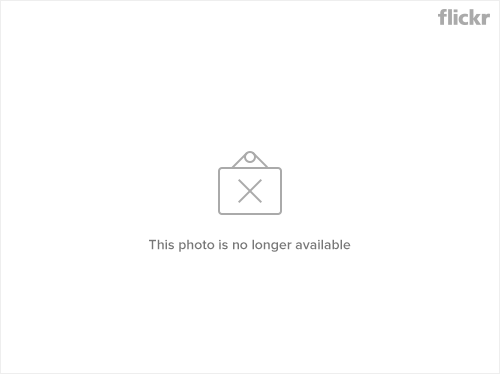 9 Prusik Knot 2, Climbing a Rope with a Prusik, Survival Fitness Plan