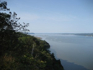 Change is Opportunity