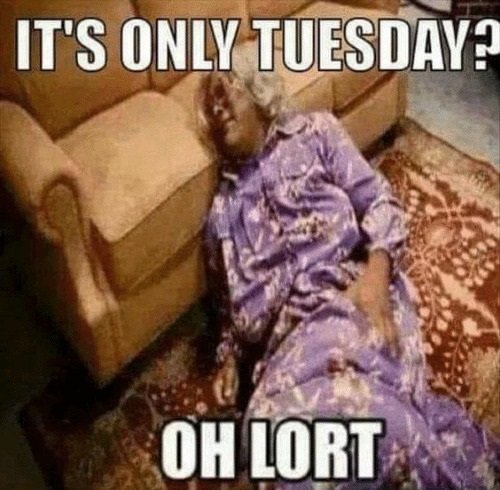 Image result for Tuesday meme