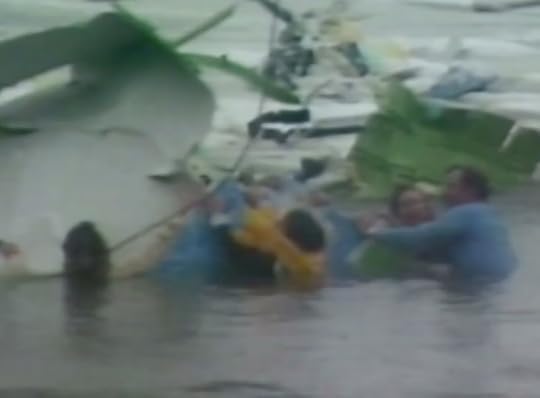 Skutnik plane water.PNG