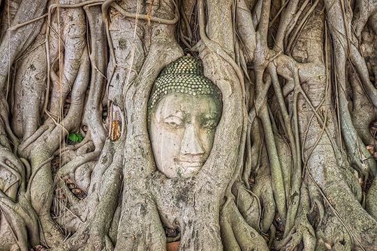Ancient statue head of Buddha image embedded in a Banyan tree roots
